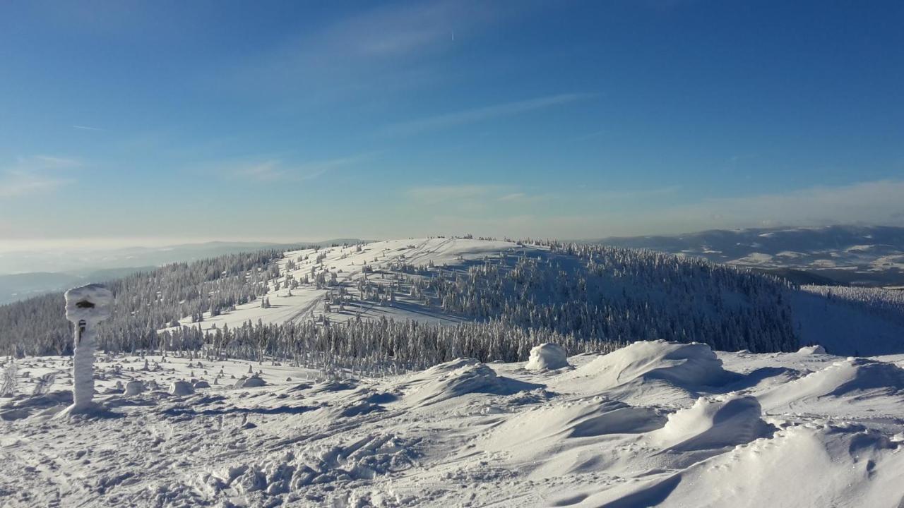 Mezonetovy Apartman Isabela Loučná nad Desnou Exteriör bild